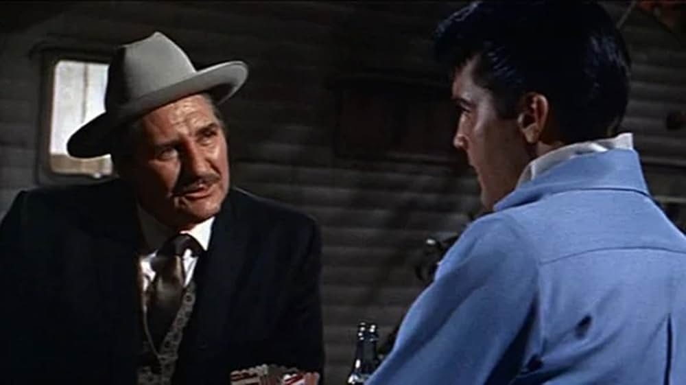 青春カーニバルの画像