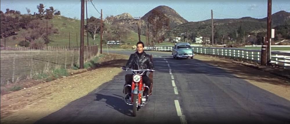 青春カーニバルの画像