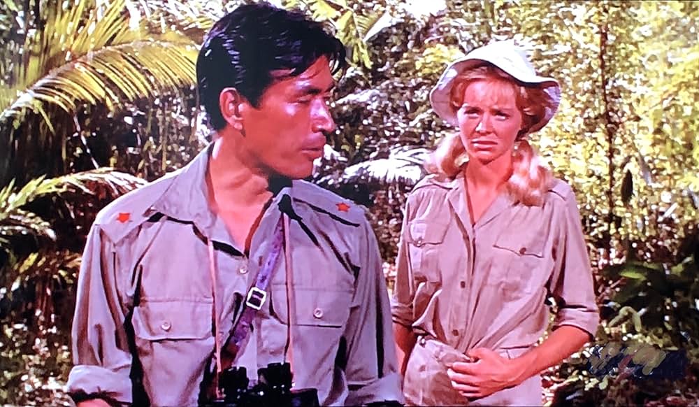 第七の暁の画像