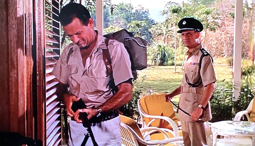 第七の暁の画像