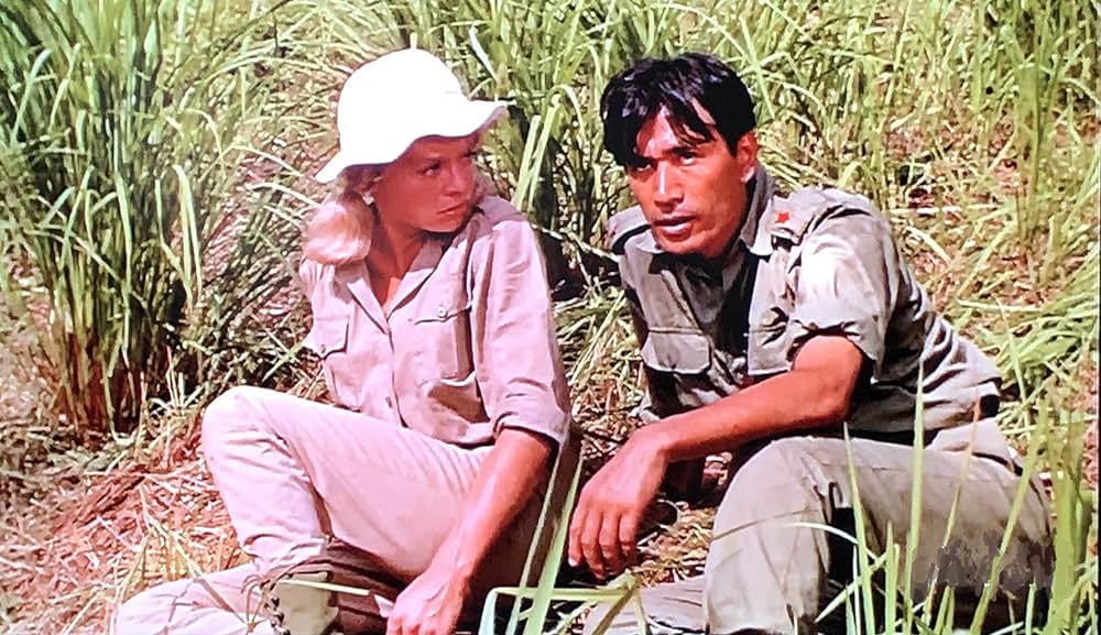 第七の暁の画像