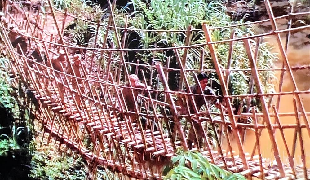 第七の暁の画像