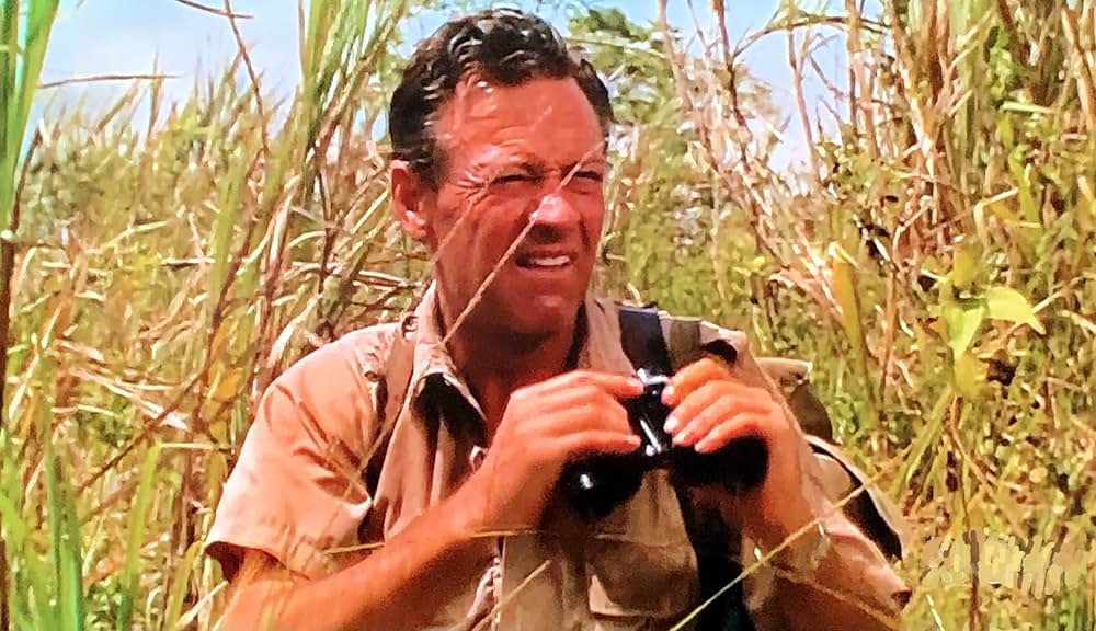 第七の暁の画像