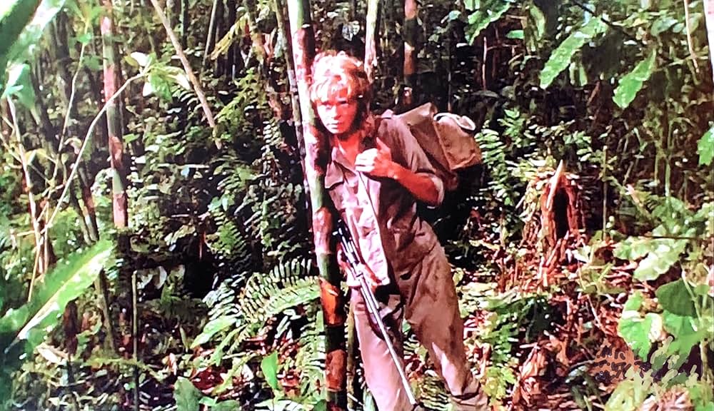 第七の暁の画像