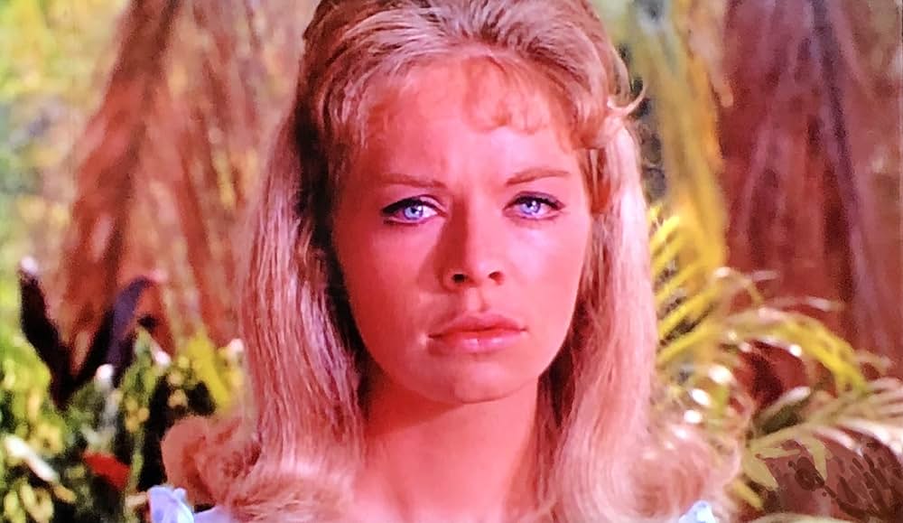 第七の暁の画像