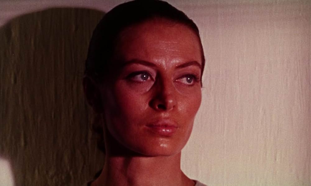 第七の暁の画像