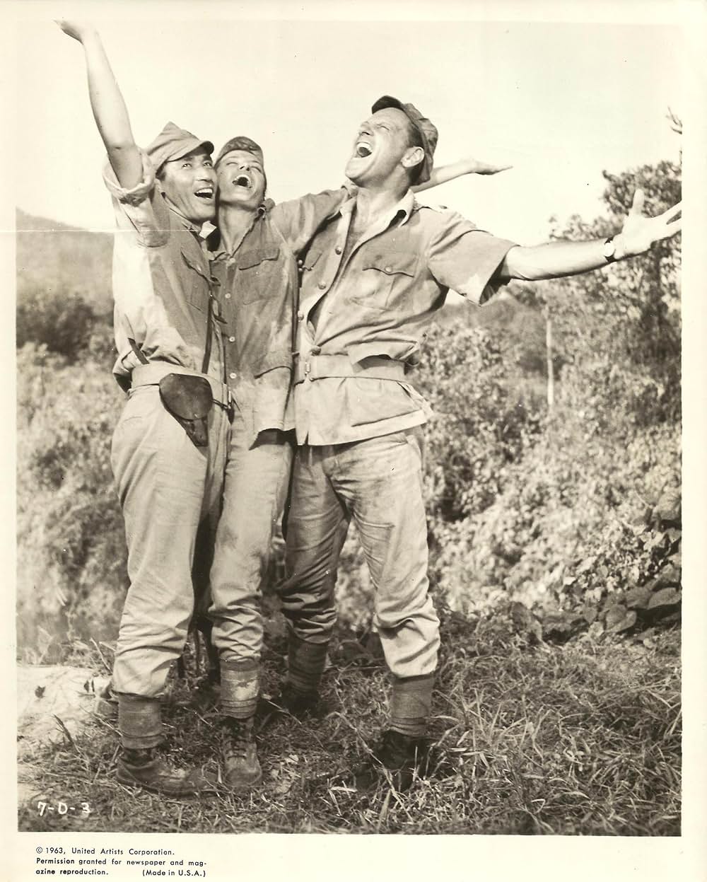 第七の暁の画像