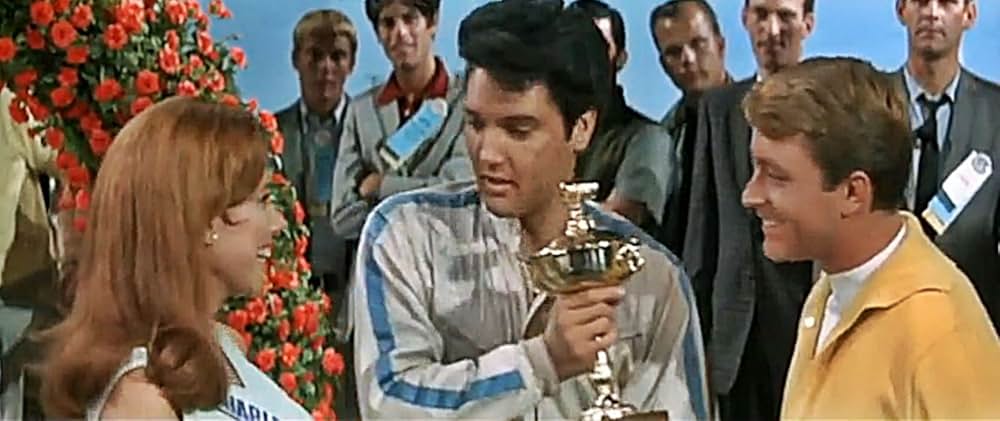 スピードウェイの画像