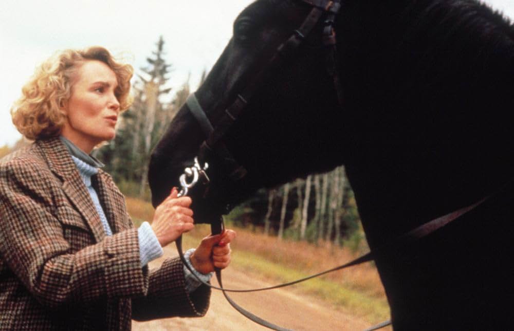 ファーノースの画像