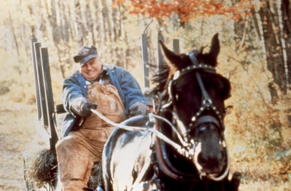 ファーノースの画像