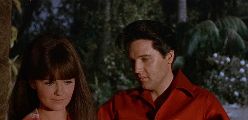 ブルー・マイアミの画像