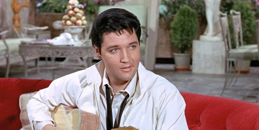 ブルー・マイアミの画像