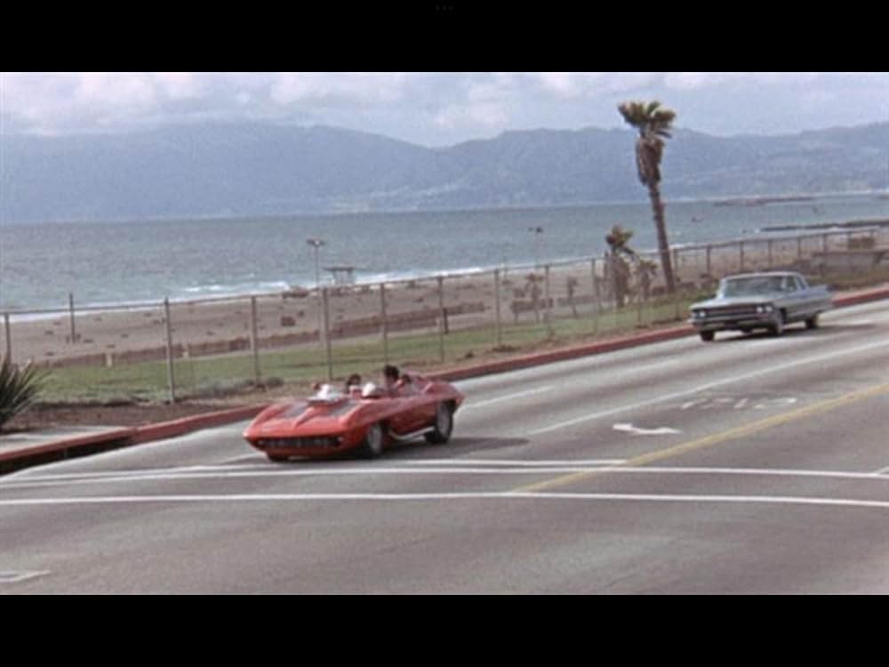 ブルー・マイアミの画像