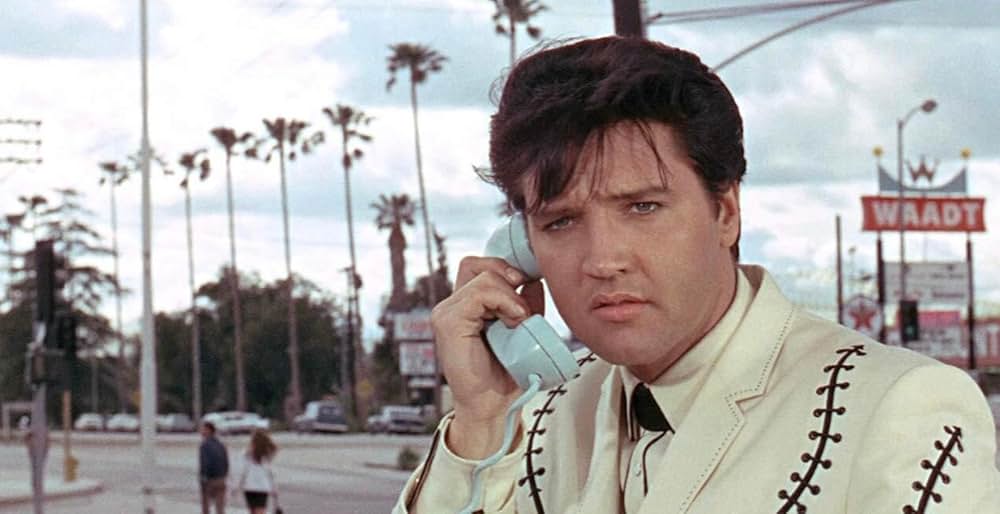 ブルー・マイアミの画像