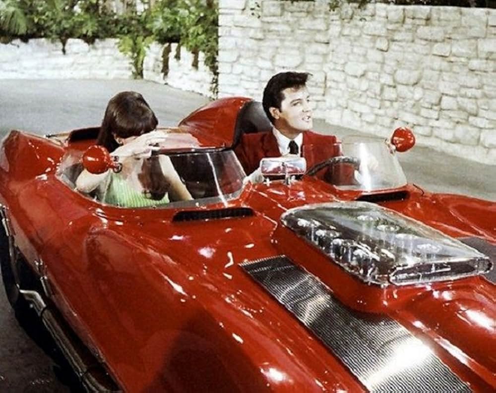 ブルー・マイアミの画像