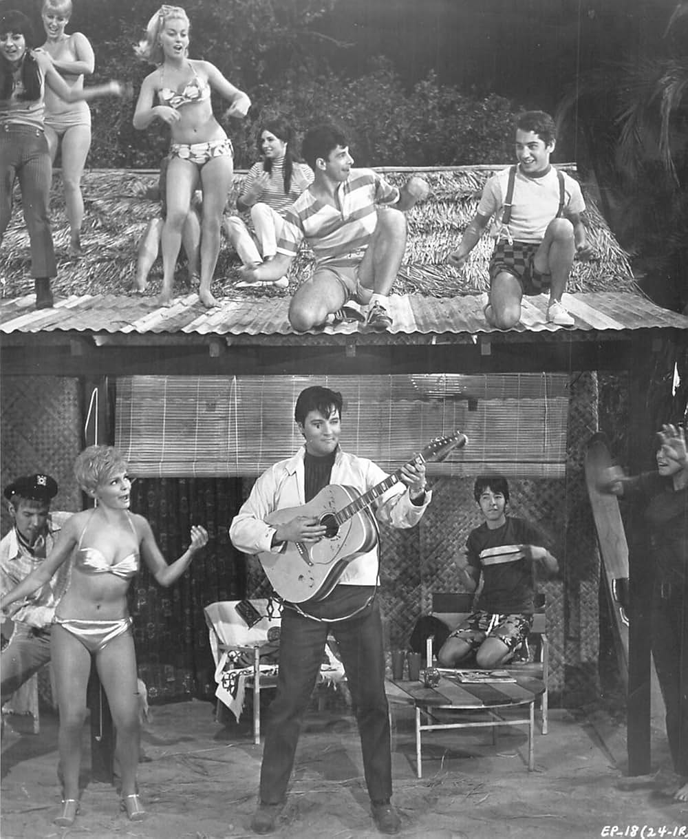 ブルー・マイアミの画像