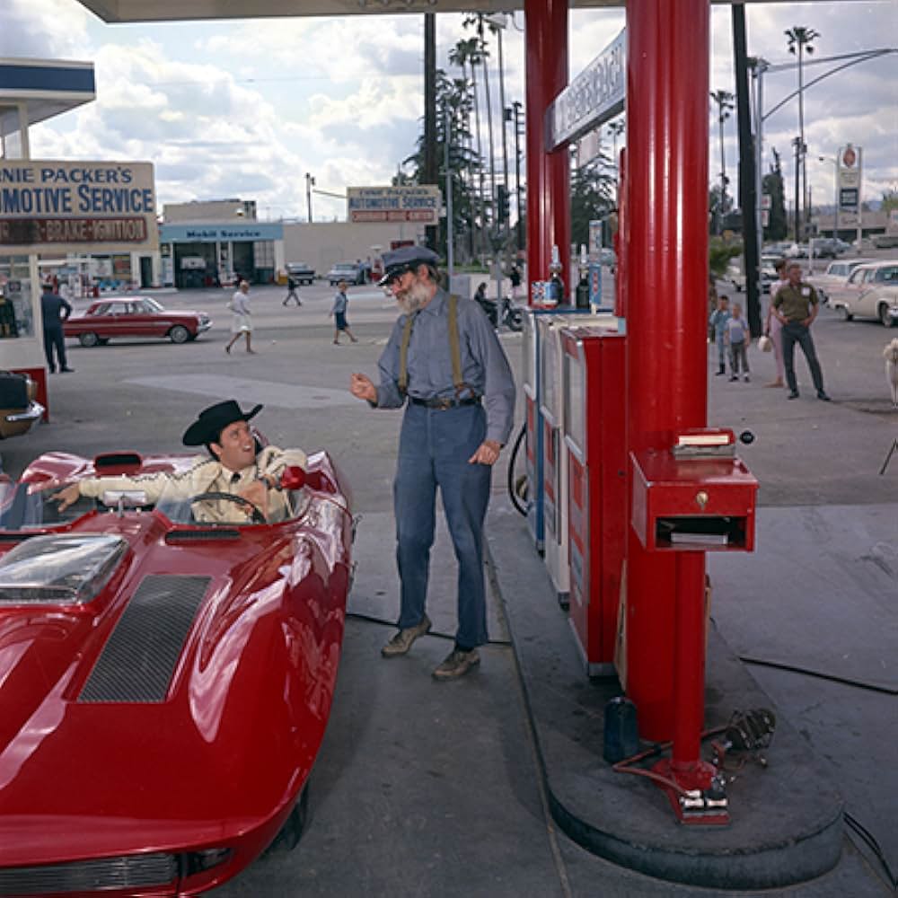 ブルー・マイアミの画像