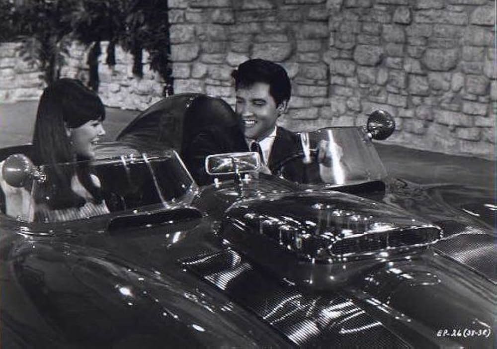 ブルー・マイアミの画像