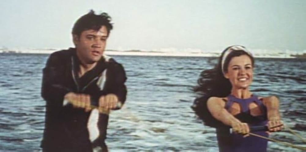 ブルー・マイアミの画像