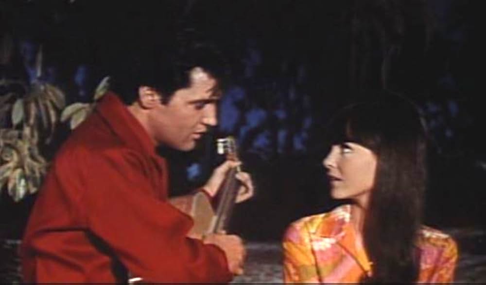 ブルー・マイアミの画像