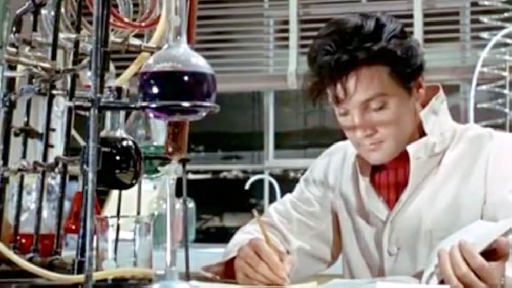 ブルー・マイアミの画像