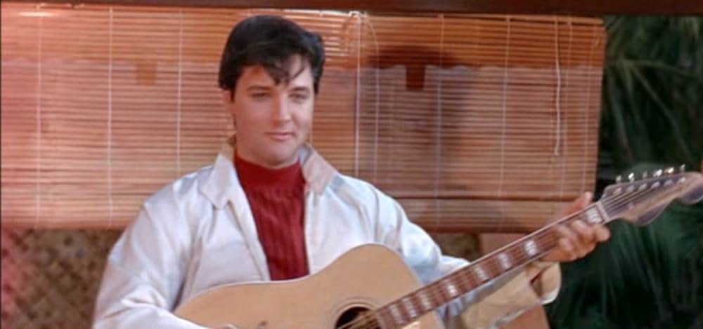 ブルー・マイアミの画像