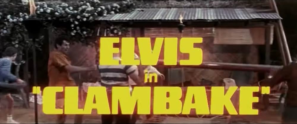 ブルー・マイアミの画像