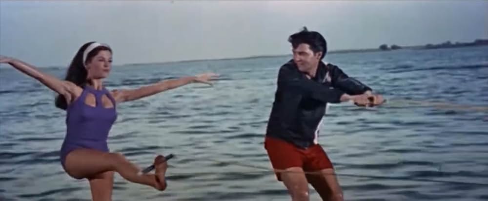 ブルー・マイアミの画像