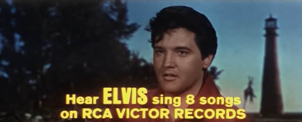 ブルー・マイアミの画像