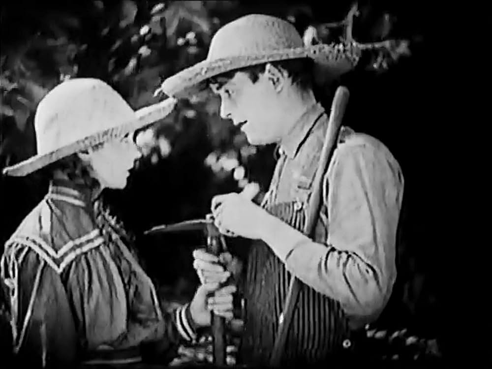 幸福の谷の画像