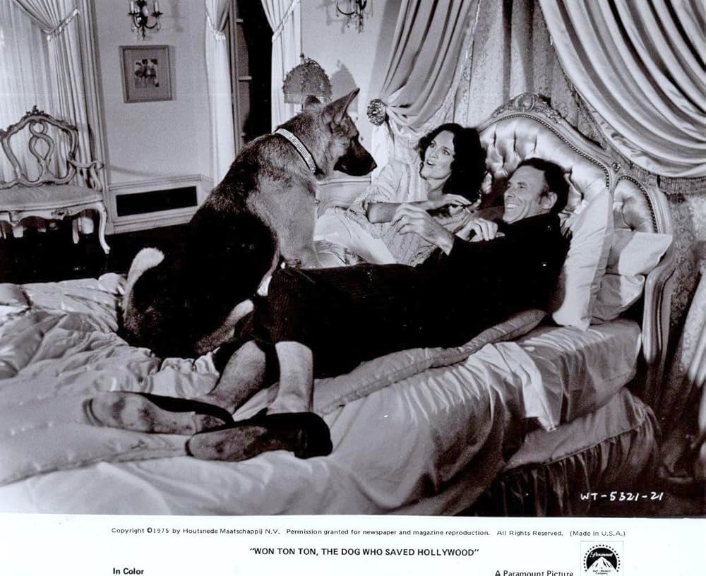 名犬ウォン・トン・トンの画像