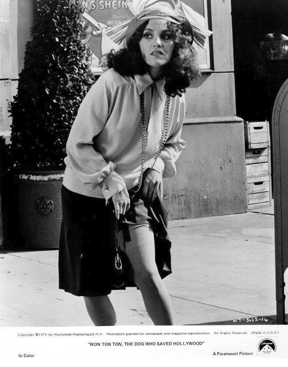 名犬ウォン・トン・トンの画像