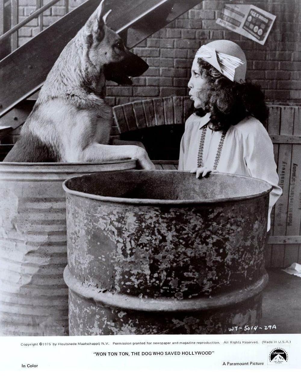 名犬ウォン・トン・トンの画像