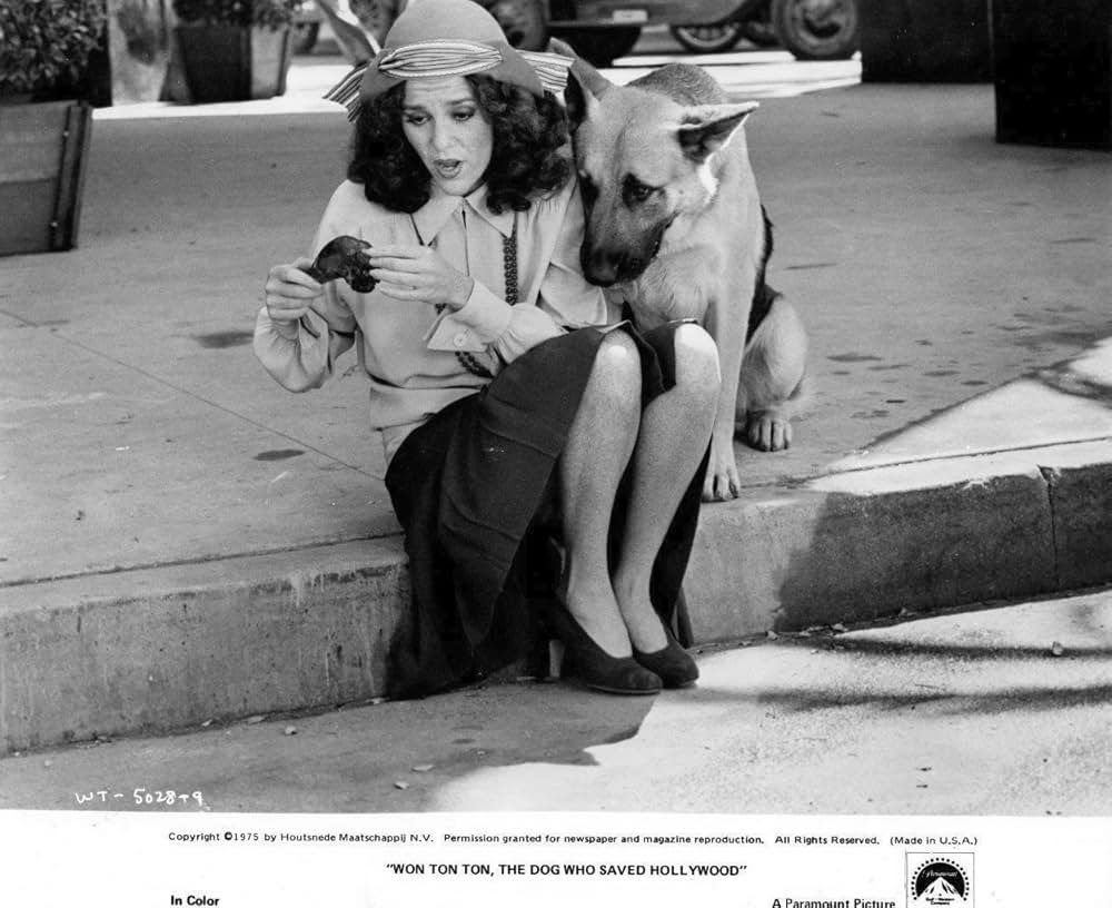 名犬ウォン・トン・トンの画像