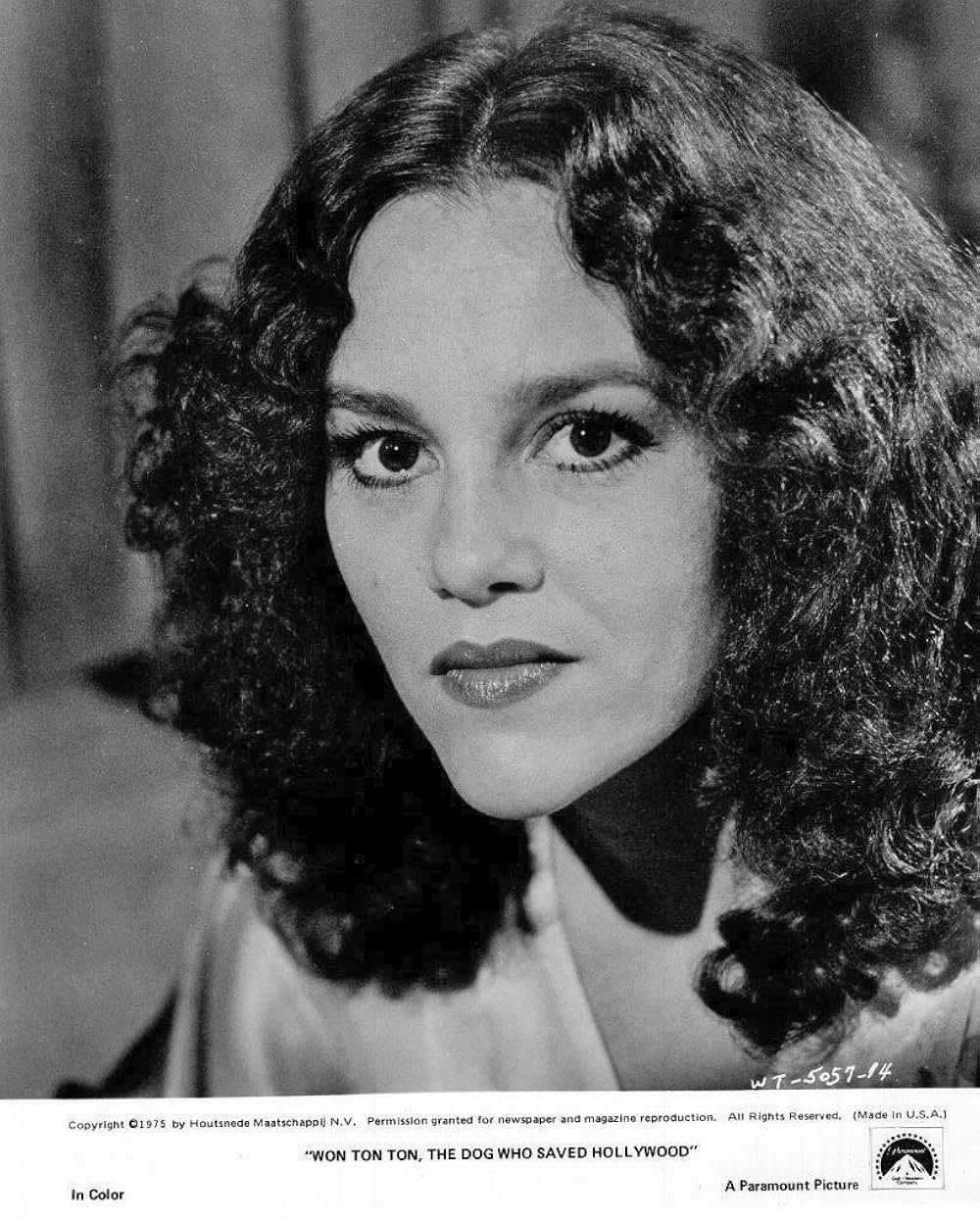 名犬ウォン・トン・トンの画像