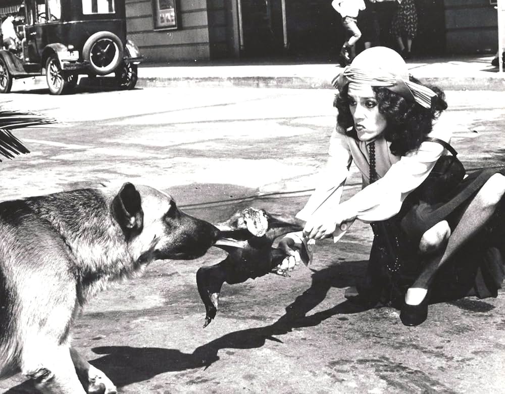 「名犬ウォン・トン・トン」の画像