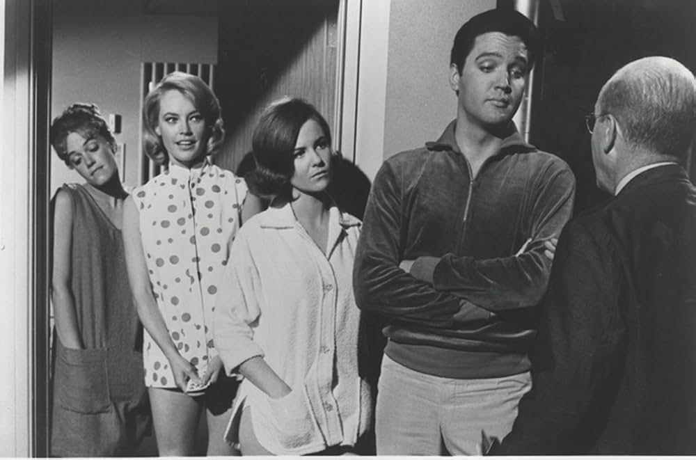 フロリダ万才の画像