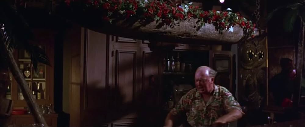 フロリダ万才の画像