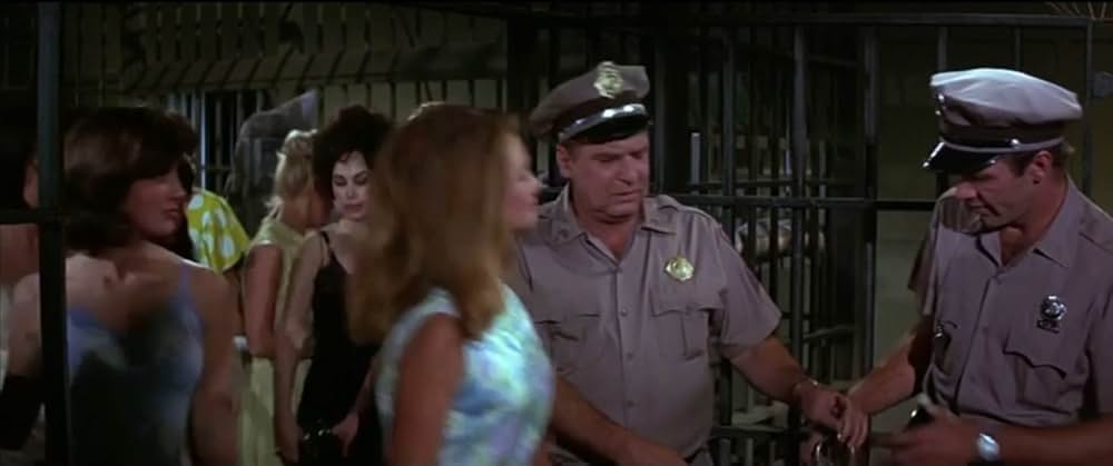 フロリダ万才の画像