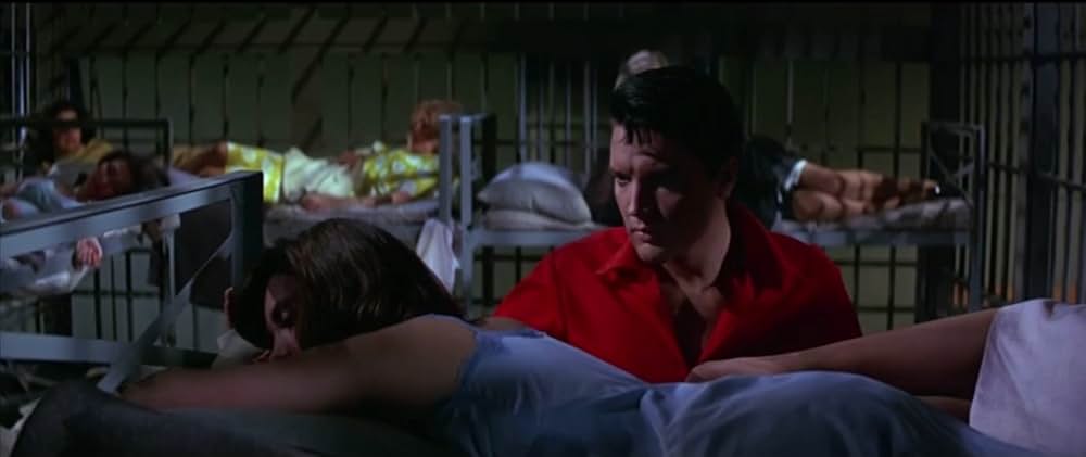 フロリダ万才の画像