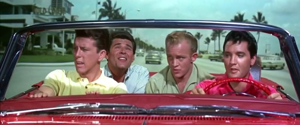 フロリダ万才の画像