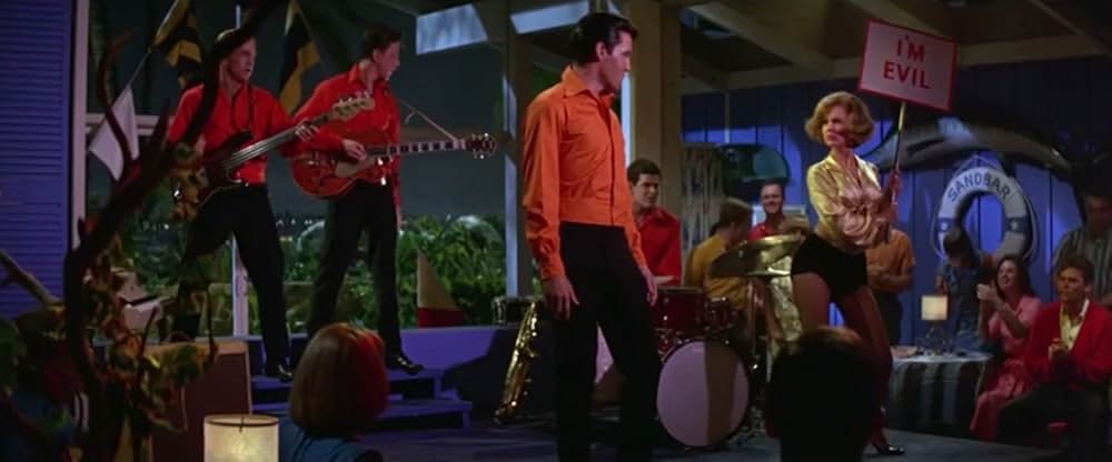 フロリダ万才の画像