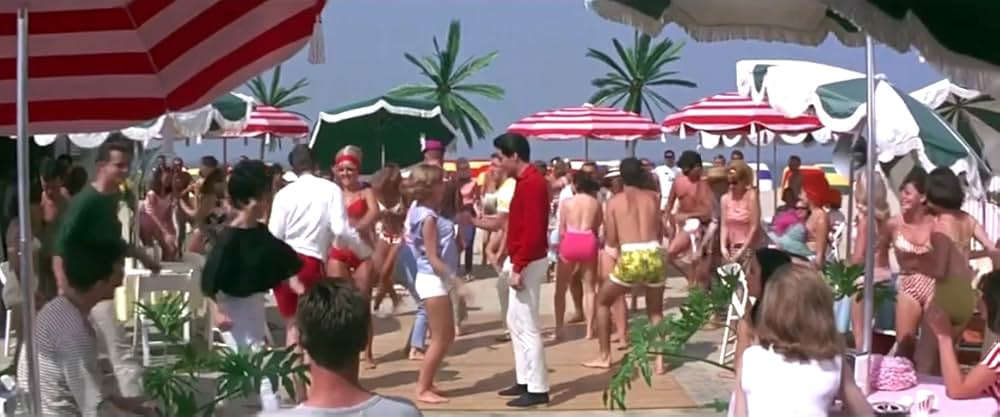 フロリダ万才の画像