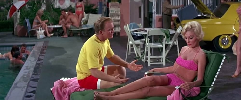 フロリダ万才の画像