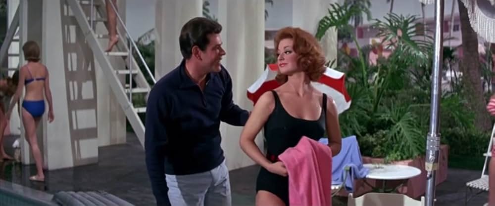 フロリダ万才の画像