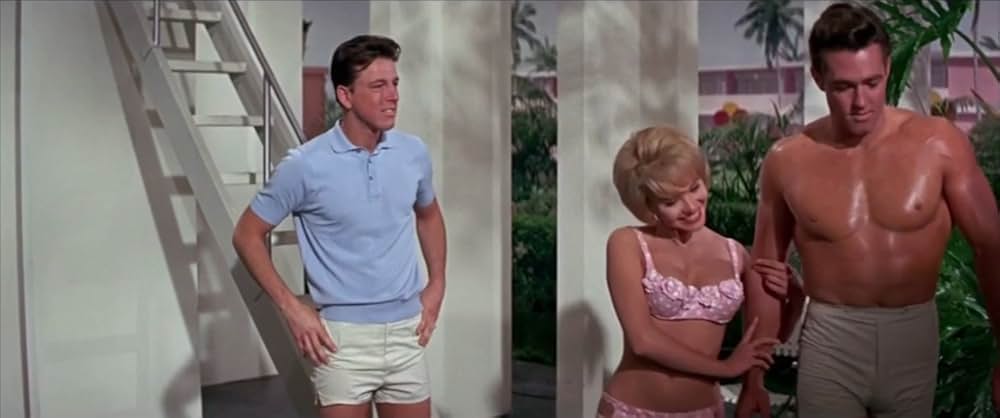 フロリダ万才の画像