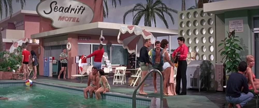 フロリダ万才の画像