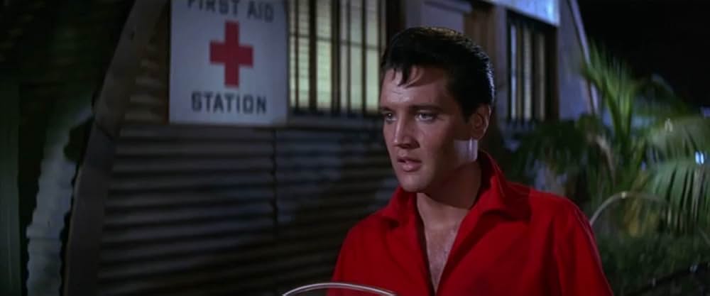 フロリダ万才の画像