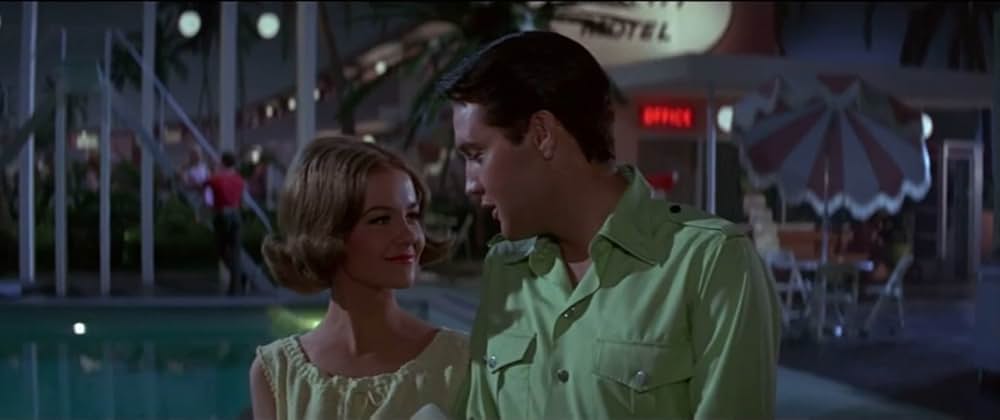 フロリダ万才の画像