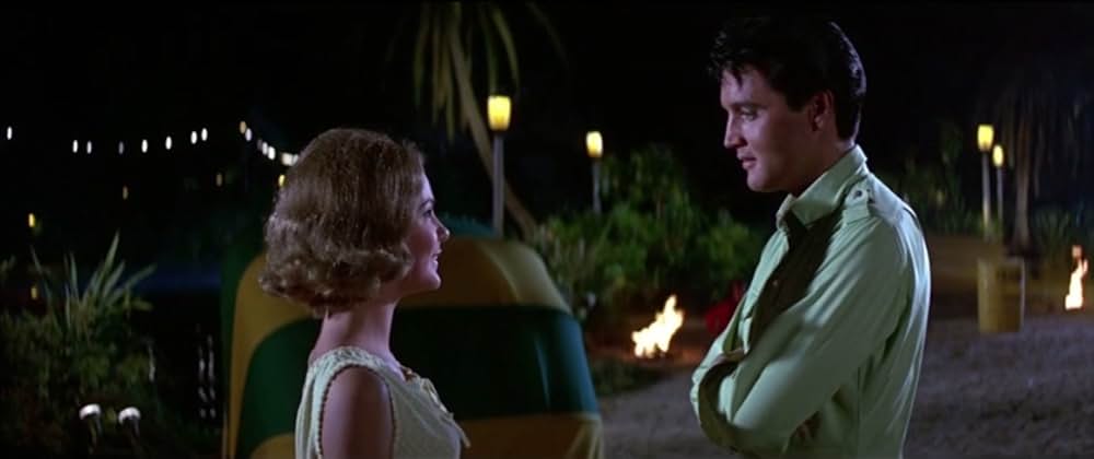 フロリダ万才の画像